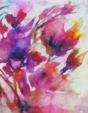 by Georgia Chagas