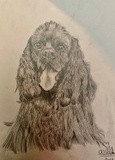 by Ariella Belau