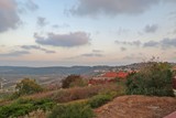 by Nira Dabush