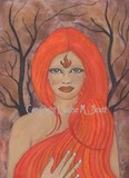 by Louise Scott