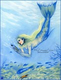 by Katerina Koukiotis