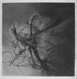 by Kay Lee