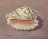 by Fiona Hooper