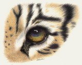 by Fiona Hooper