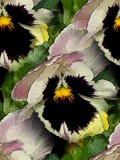 by Lynn De Serres