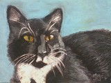by Nancy Price