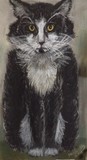 by Nancy Price