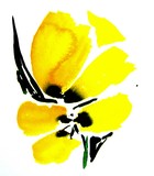 by Nelly van Nieuwenhuijzen