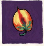 by yaakov lavan