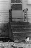 by shawn burke
