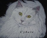 by Cybele Chaves