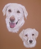 by Joanne Simpson-Connor
