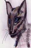 by Hazel Hoffman