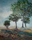 by joan whitcomb