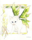 by Shelah Dow