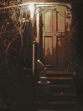by Nikolay Semyonov