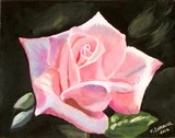 by Fletcher Derrick