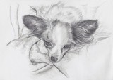 by Sheryl Boivin