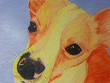 by Sarah Spalsbury