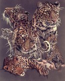 by Barbara Keith