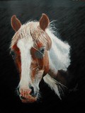 by bernard john