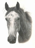 by Wendy Poulton