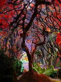 by karie Miller