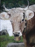 by Tracey Wood