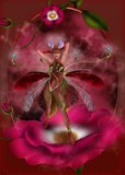 by Anne Dubois