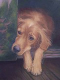 by Diane Caudle