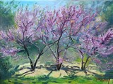by YLLI HARUNI