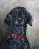 by Mary-Lee Sanders