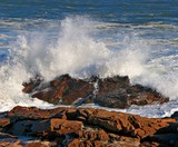 by Michael Oleksiw