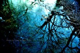 by Obed Arango