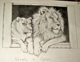 by laura johnson