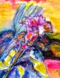 by Donald Williams