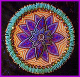 by linda strong