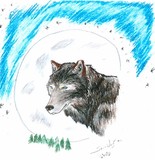 by Spirit  Wolf