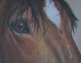 by Sharon Herbert