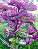 by Gwenlyn Norton