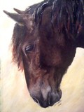 by Whitney Coolidge