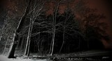 by Tudor Cioroiu