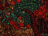 by samuel bohorquez
