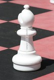 by kym solitaire