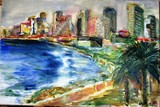 by menashe shani