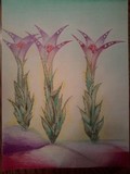 by Casha Goodwin