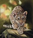 by kaz turner