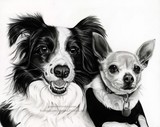 by Gemma Furbank