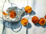 by Diane  Jorstad
