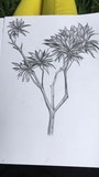 by Deepthi K J